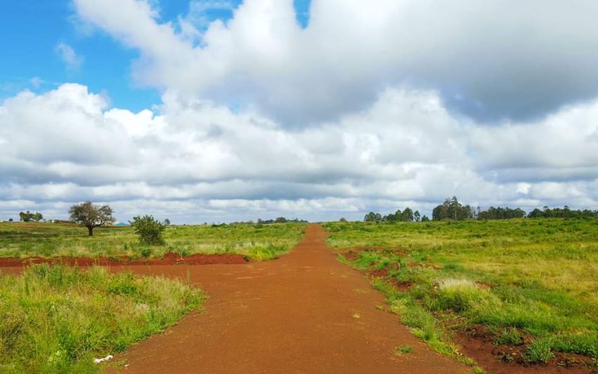 Prime 1/8acre Plots in Ruiru – Mugutha Road