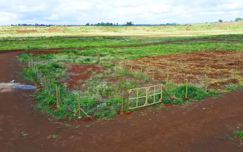 Prime 1/8acre Plots in Ruiru – Mugutha Road