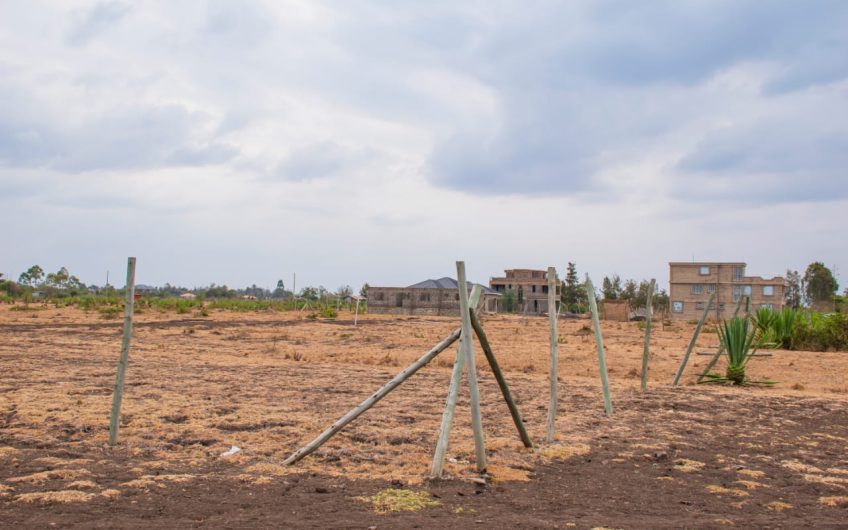 Prime 1/8acre Plot – JUJA Farm