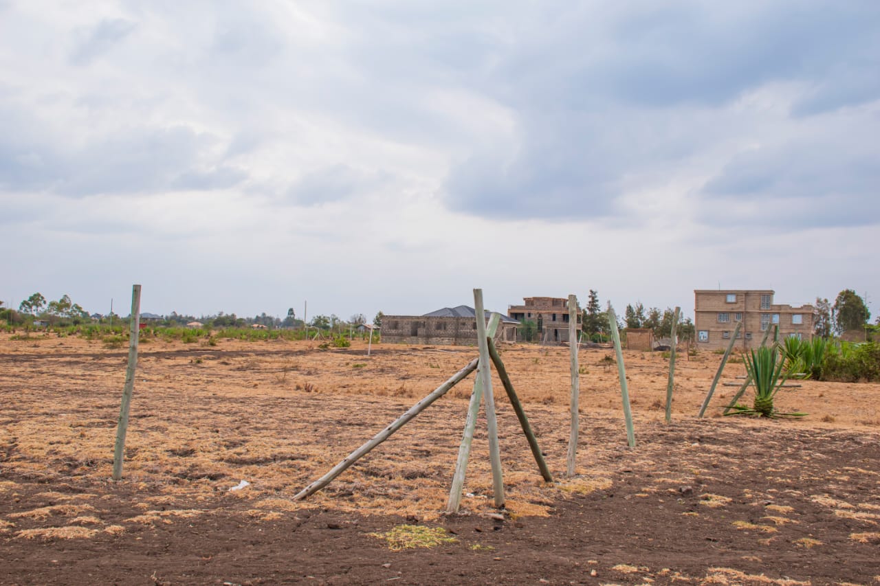 Prime 1/8acre Plot - JUJA Farm