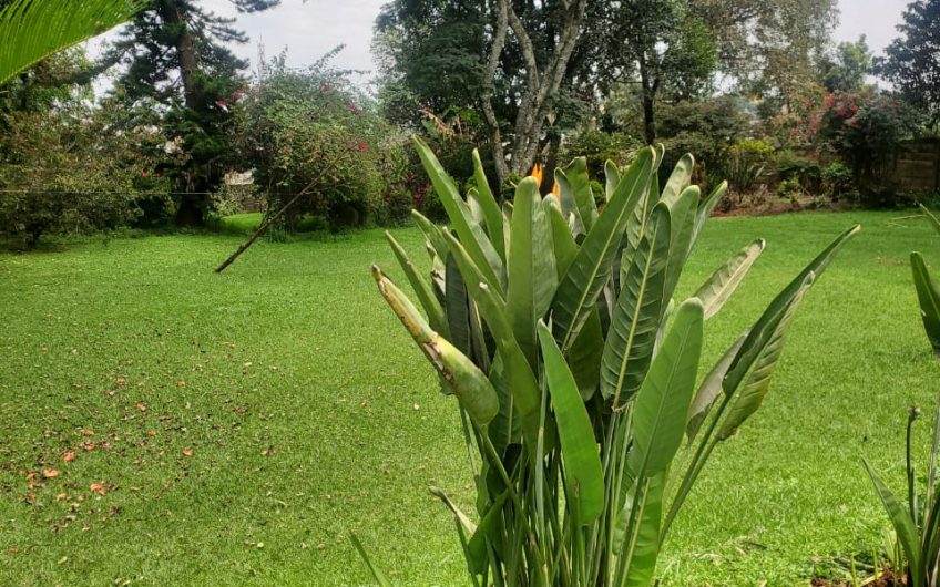 Prime 1.5acres 2nd Row from Waiyaki Way – Near Kianda School / KIPI on Sale