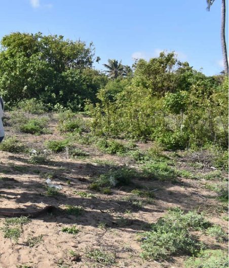 Land for Sale in Ngomeni, Malindi – Ideal for Residential Development