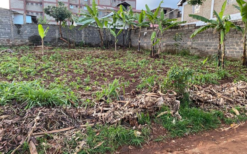 Prime 1/8acre Plot – Ruaka, Nairobi