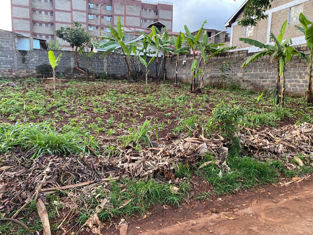 Prime 1/8acre Plot - Ruaka, Nairobi